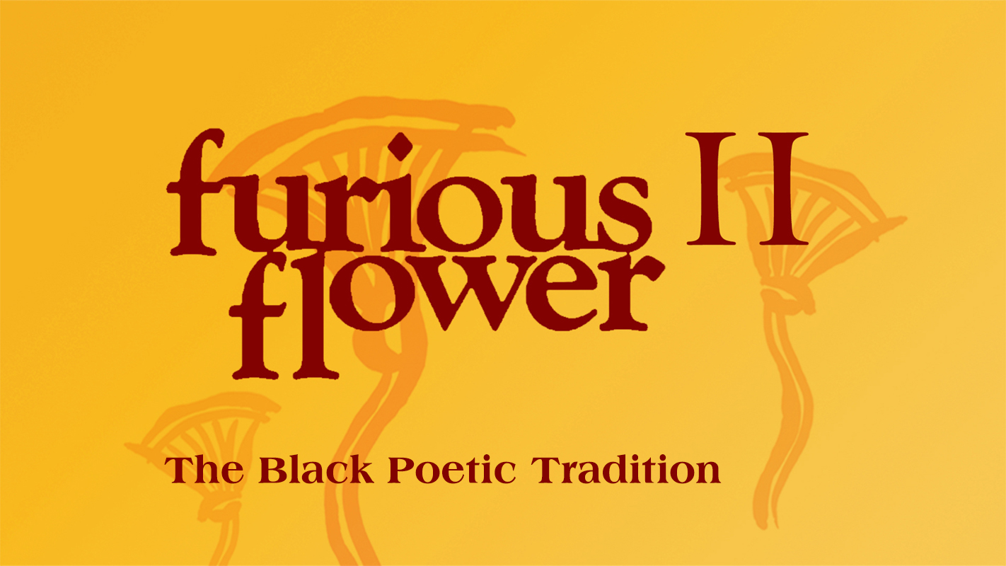 Roots and First Fruits - image