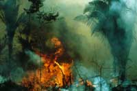 The Decade of Destruction