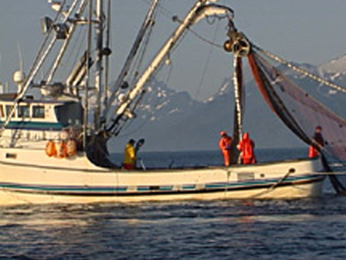Empty Oceans, Empty Nets Empty Oceans, Empty Nets
