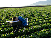 East of Salinas - image