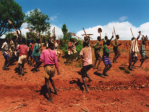 The Farmers of Gaho - image