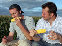 King Corn (Original Version) King Corn (Original Version)