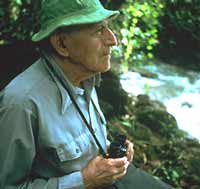 A Naturalist in the Rainforest - image