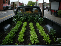 Truck Farm - image