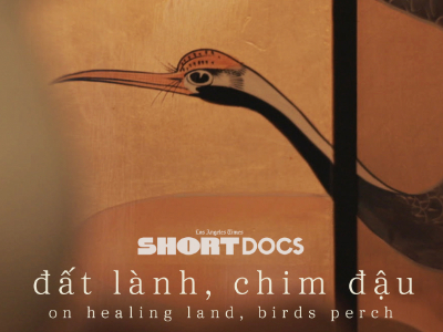 On Healing Lands, Birds Perch - image