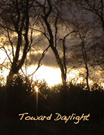 Toward Daylight - image