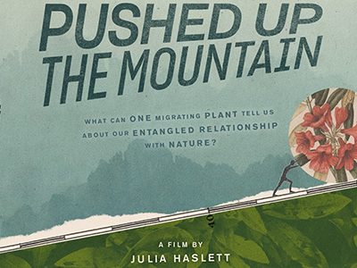 Pushed Up The Mountain - image