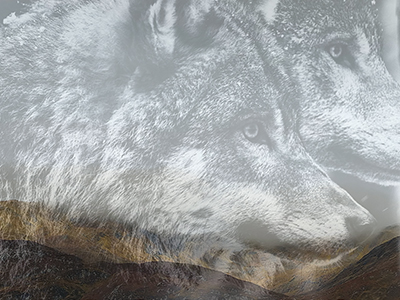 The Bough Breaks - image