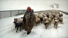 Winter Nomads - image