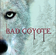 Bad Coyote - image