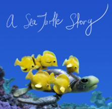 A Sea Turtle Story