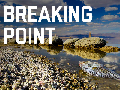 Breaking Point - image