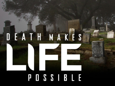 Death Makes Life Possible - image