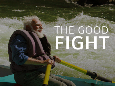 The Good Fight - image