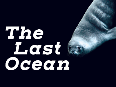 The Last Ocean - image
