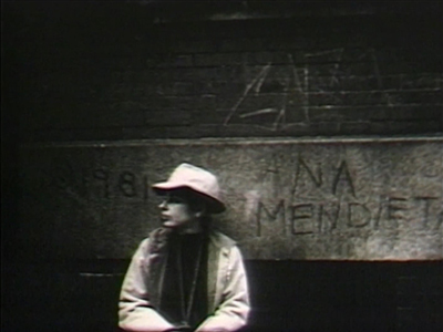 Ana Mendieta: Fuego De Tierra - image