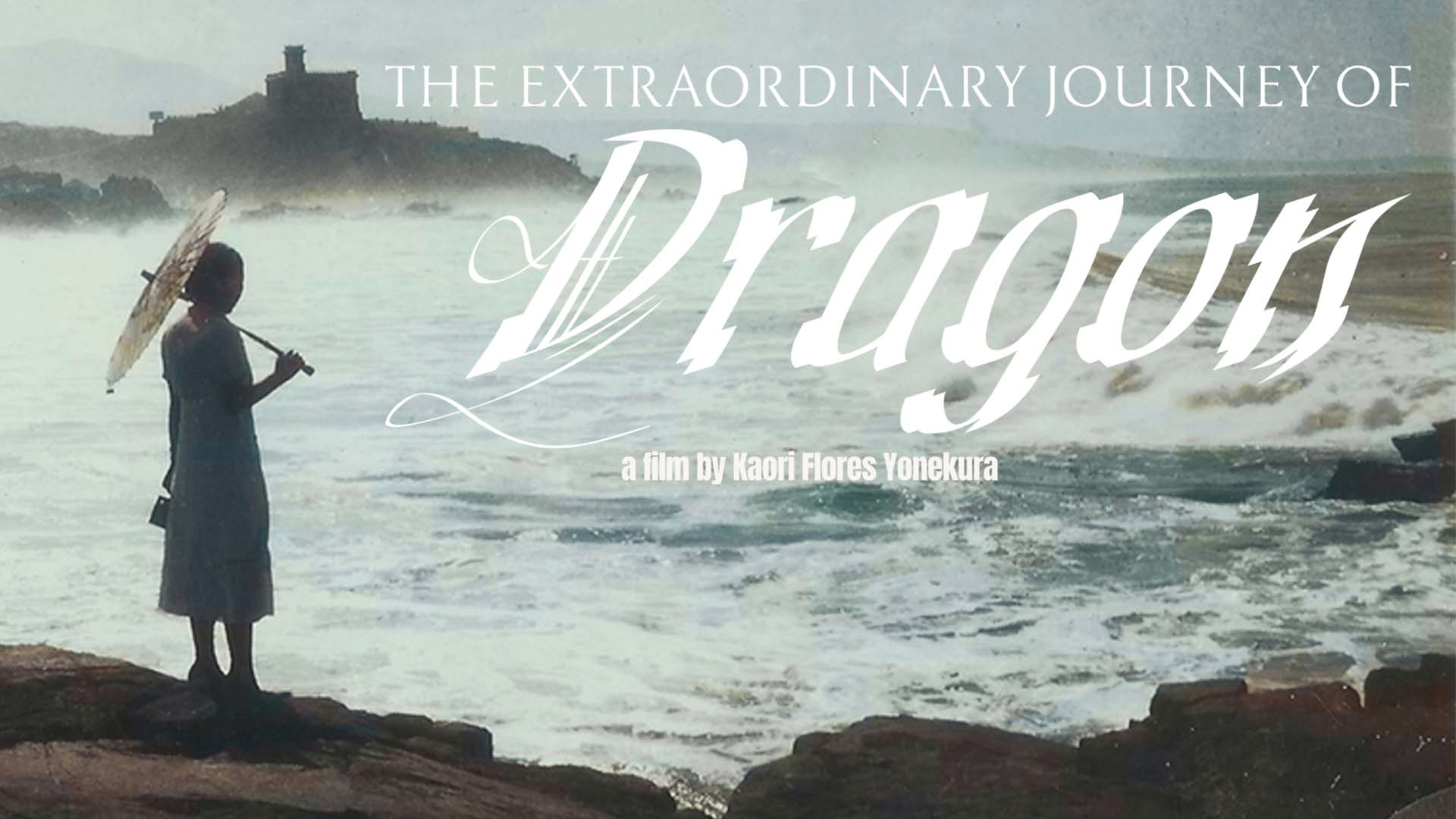 The Extraordinary Journey of Dragon - image