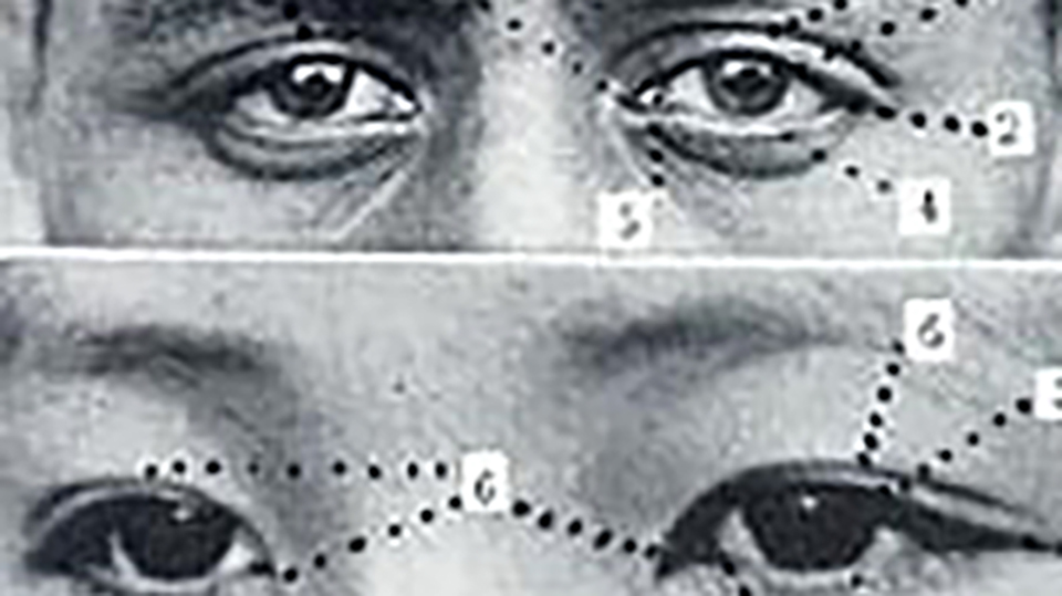 Race - The Power of an Illusion