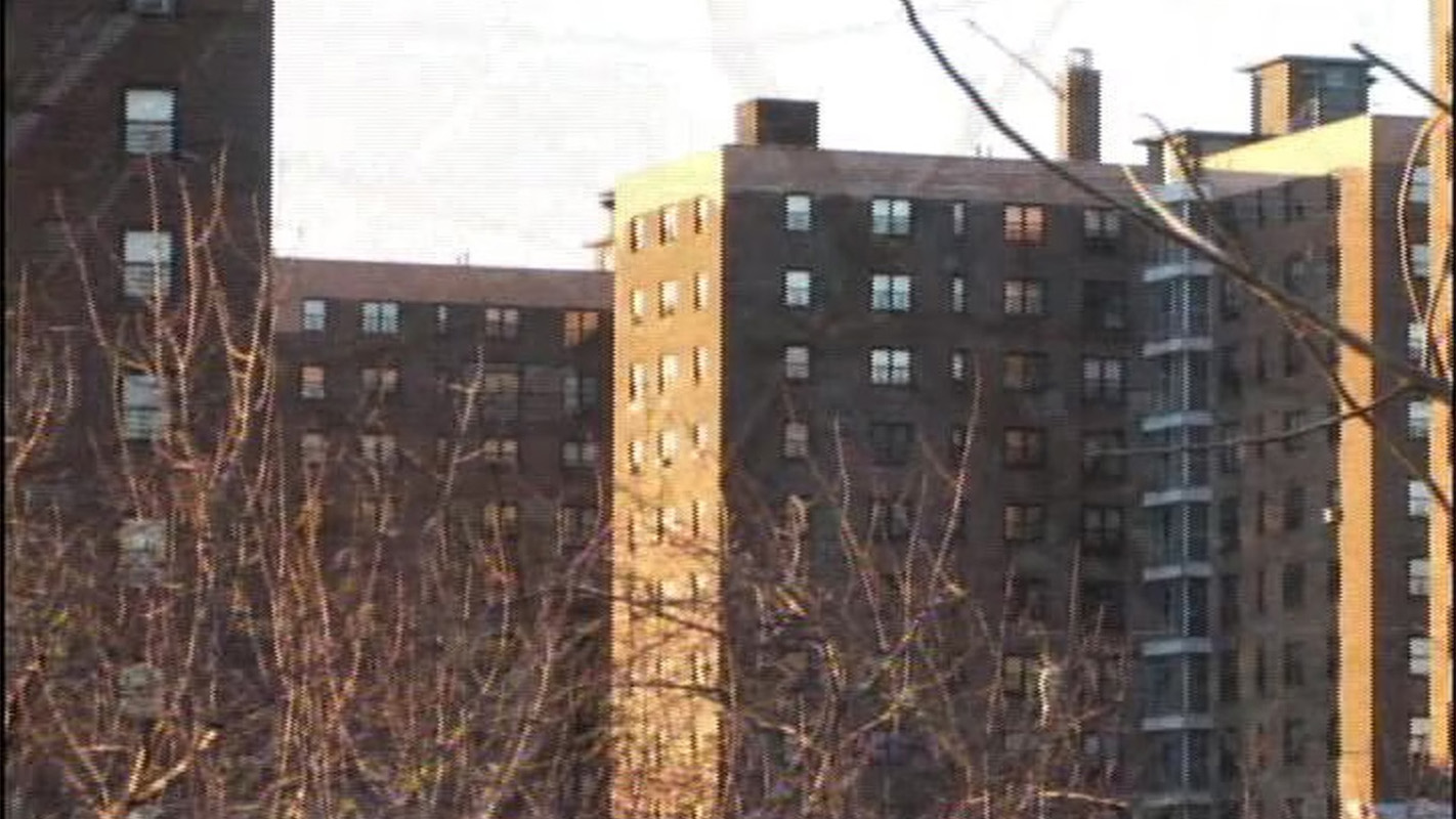 Brick By Brick: A Civil Rights Story