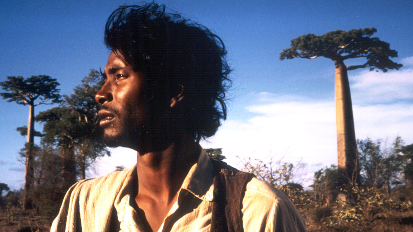 Quand les étoiles rencontrent la mer