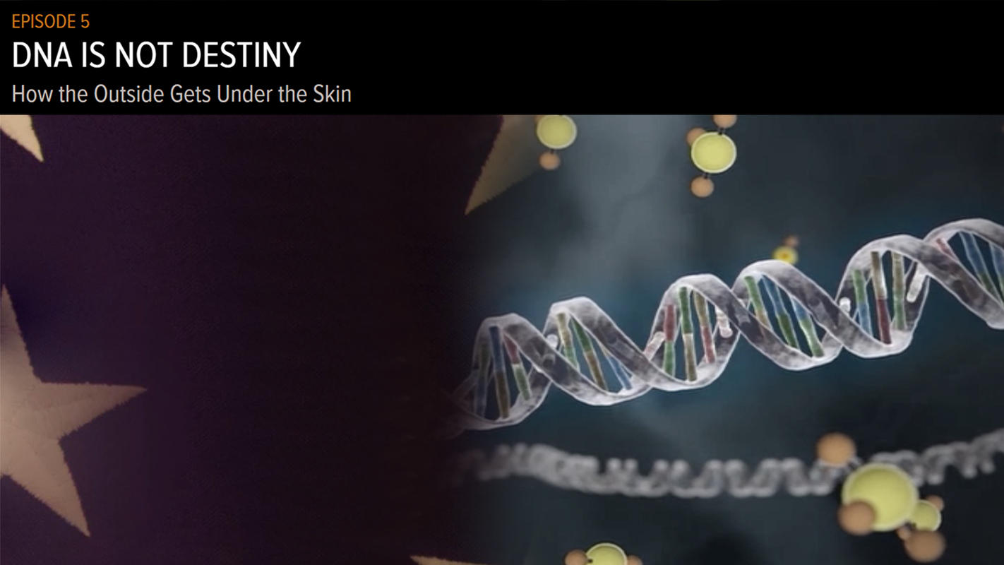 The Raising of America Ep.5 DNA is Not Destiny