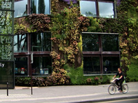 Biophilic Design - image