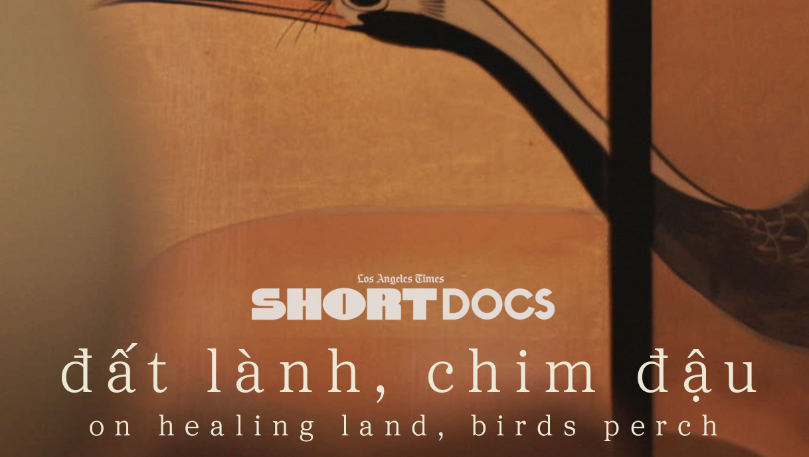 On Healing Lands, Birds Perch