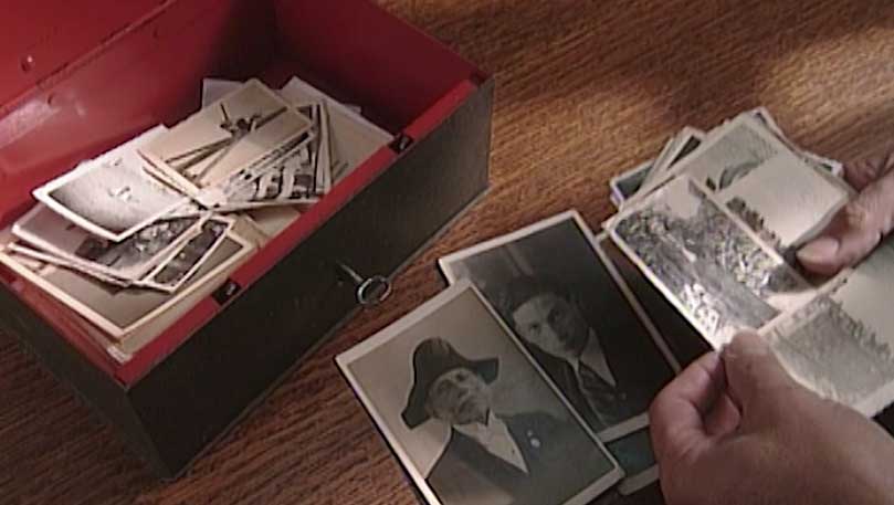 The Shealtiels: A Family Saga