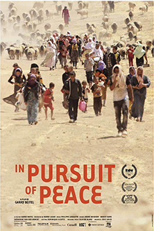 In Pursuit of Peace - image