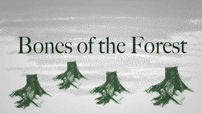 Bones of the Forest