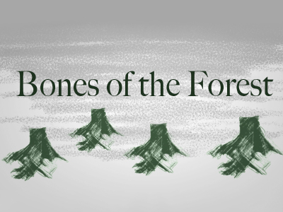 Bones of the Forest - image