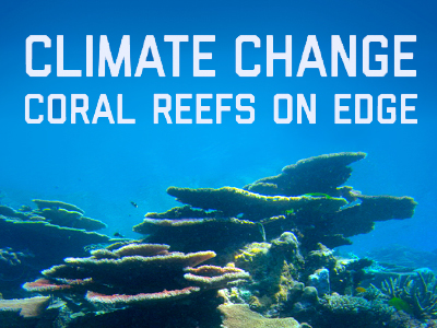 Climate Change and Coral Reefs - image