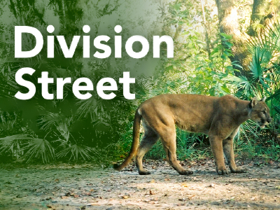Division Street - image