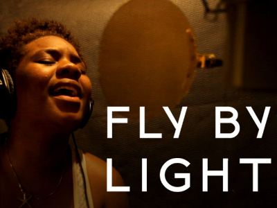 Fly By Light - image