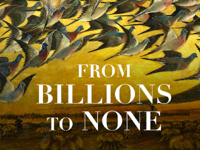 From Billions to None - image