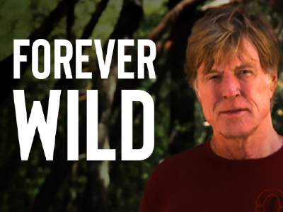 Forever Wild - image