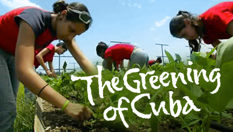 Greening of Cuba