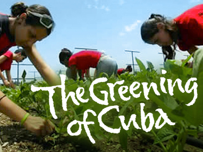 Greening of Cuba - image