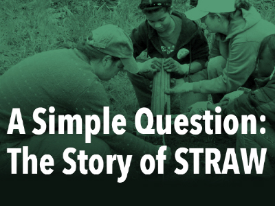 A Simple Question - image