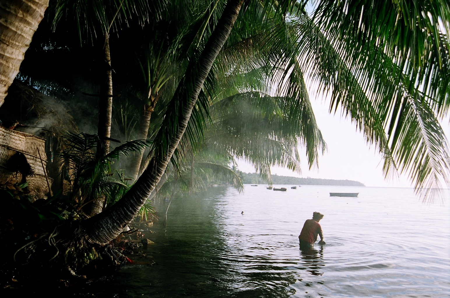 There Once was an Island: Te Henua e Nnoho