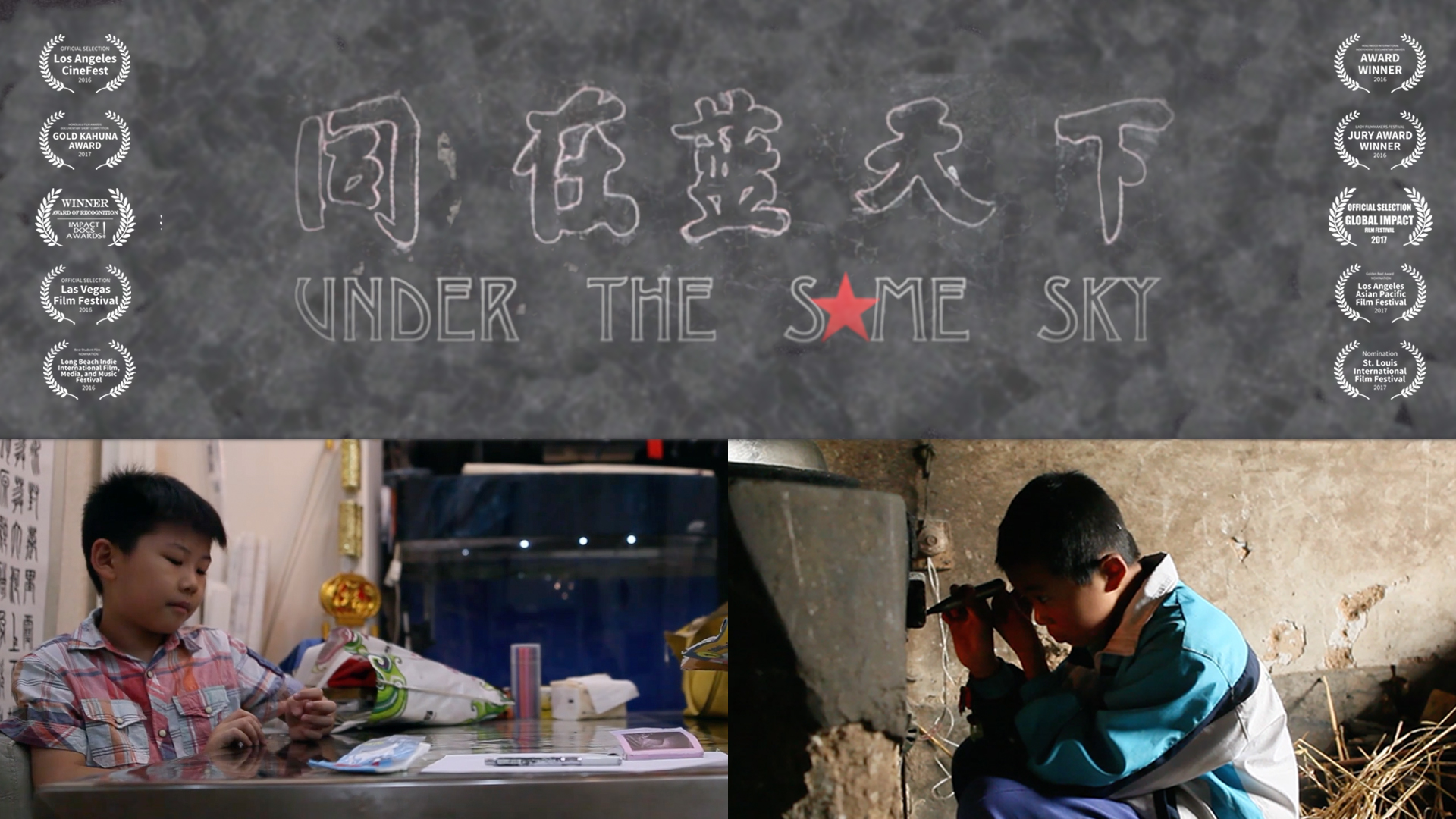 Under The Same Sky