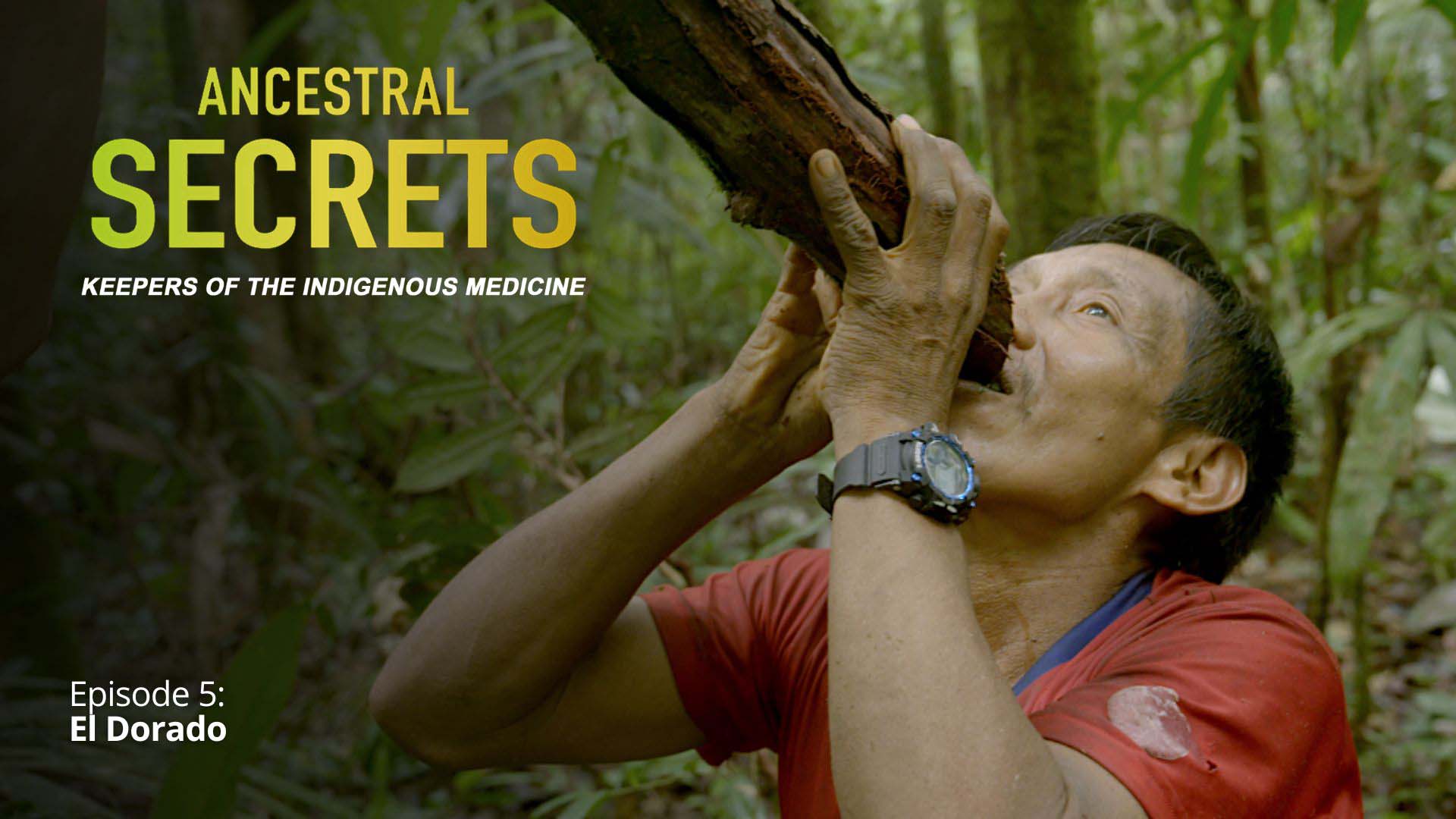 Ancestral Secrets. Keepers of Indigenous Medicine, Ep. 05 - El Dorado - image