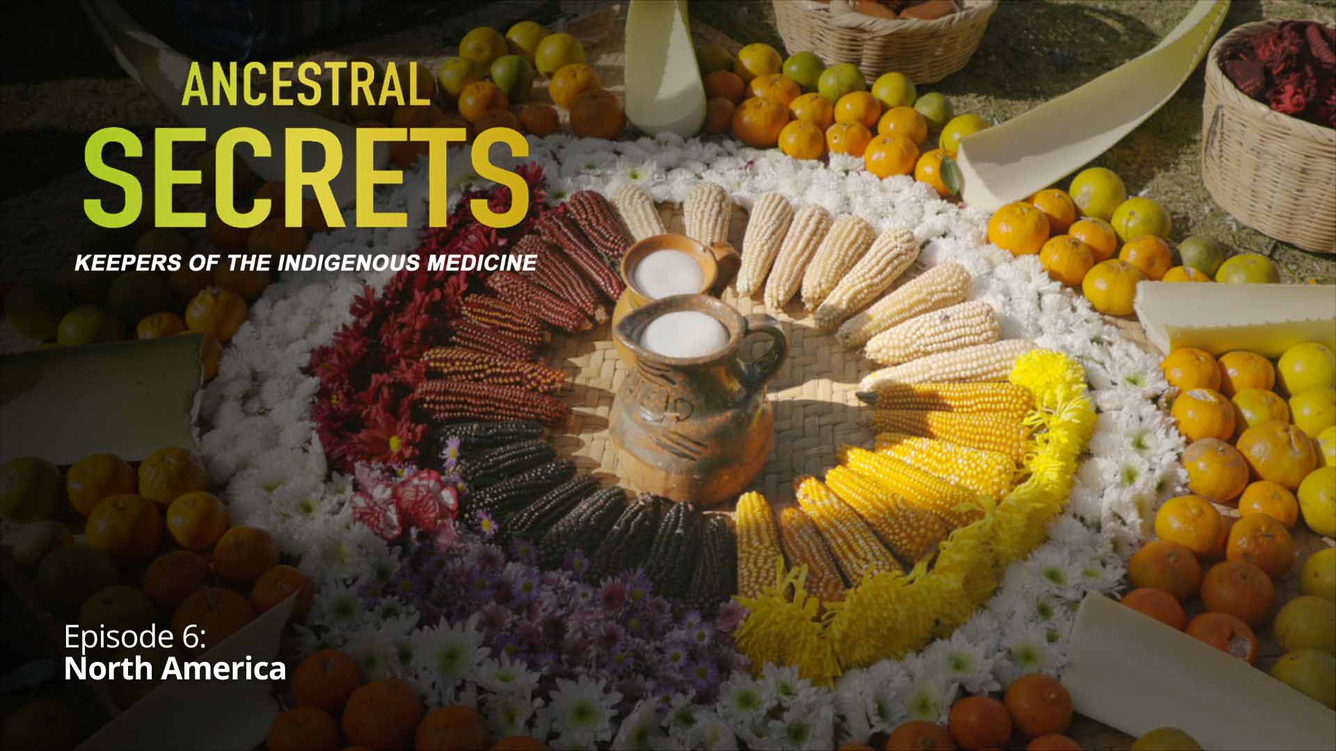 Ancestral Secrets. Keepers of Indigenous Medicine, Ep. 06 - North America - image