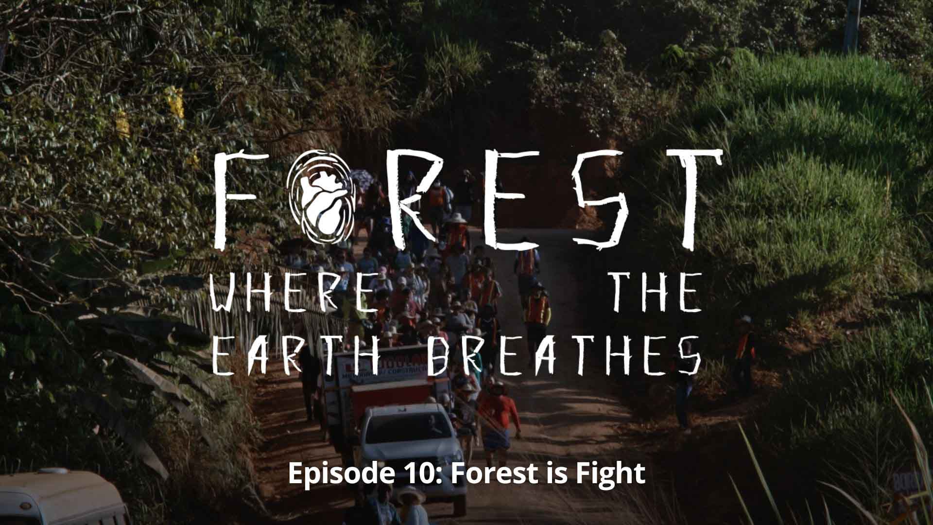 Forest, Where the Earth Breathes, Ep. 10 - Forest Is Fight - image