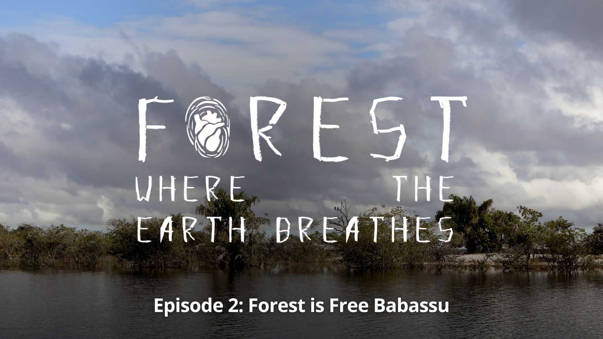 Forest, Where the Earth Breathes, Ep. 02 - Forest Is Free Babassu - image